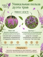Иван-чай (кипрей) с душицей