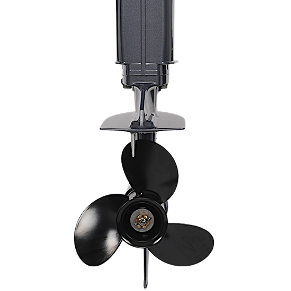 Лодочный мотор ALLFA T40FWS