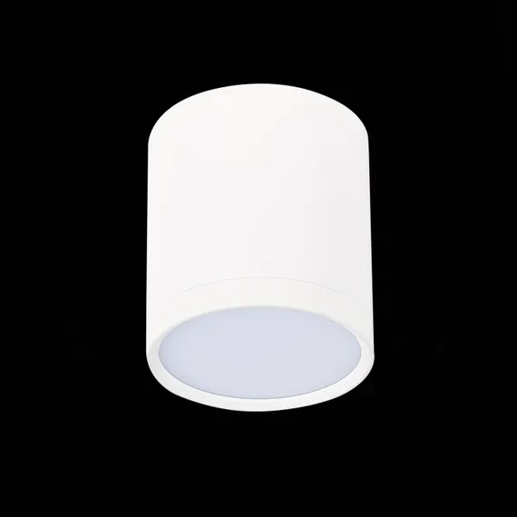 Точечный светильник Rene ST113.532.05 ST Luce