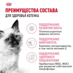 Корм сухой для котят в период второй фазы роста от 4 до 12 месяцев, 300г Royal Canin Kitten