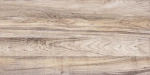 Настенная плитка ALMA Ceramica TWU09DBL404 Dublin 50x24.9 бежевая глянцевая под дерево