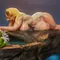 Tsunade Hot Springs - Naruto