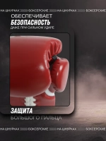 Перчатки боксерские на шнурках Rage Iron Will микрофибра красные