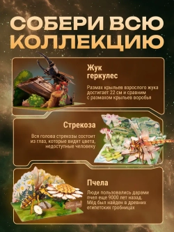 Пчела