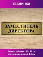 Табличка "Заместитель директора ".