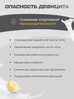 Протеин сывороточный 1020 гр + Креатин моногидрат порошок 200 гр + Цинк цитрат 90 капсул