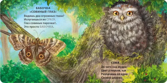 Книжки - картонки. Загадки - рифмы. Животные - невидимки