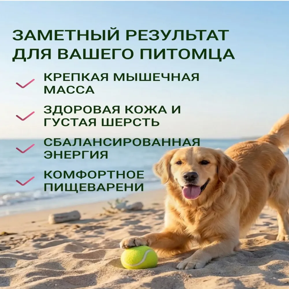 Сухой корм Fealdon для взрослых собак средних и крупных пород с индейкой