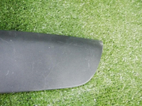 DSCN3617.jpg