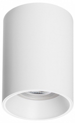 Накладной светильник Lightstar Rullo 213436