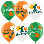 Облако из шаров 1 Сентября, Пора в школу 45 шаров уже с гелием и обработкой