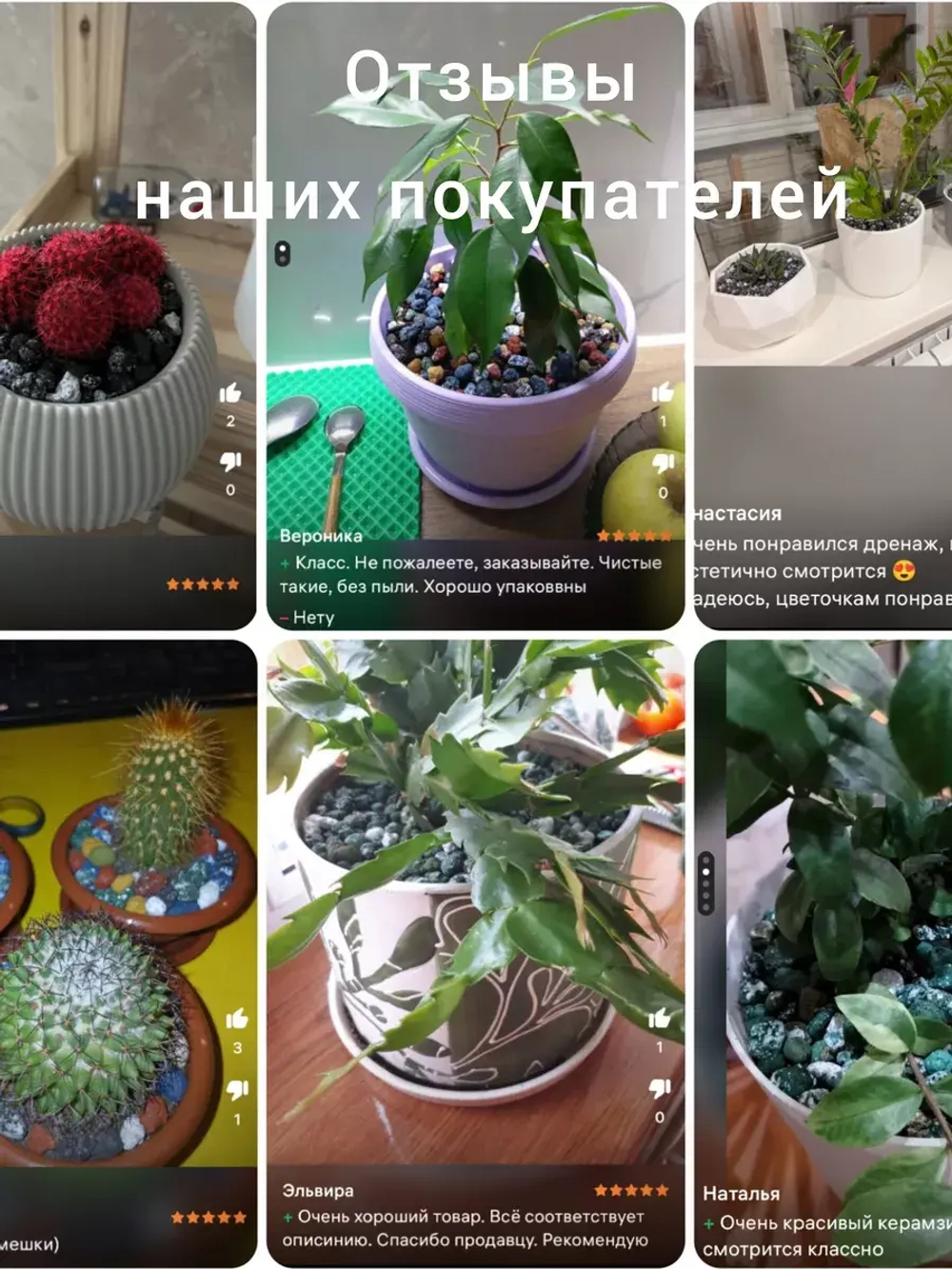 дренаж для цветов и растений микс зеленый