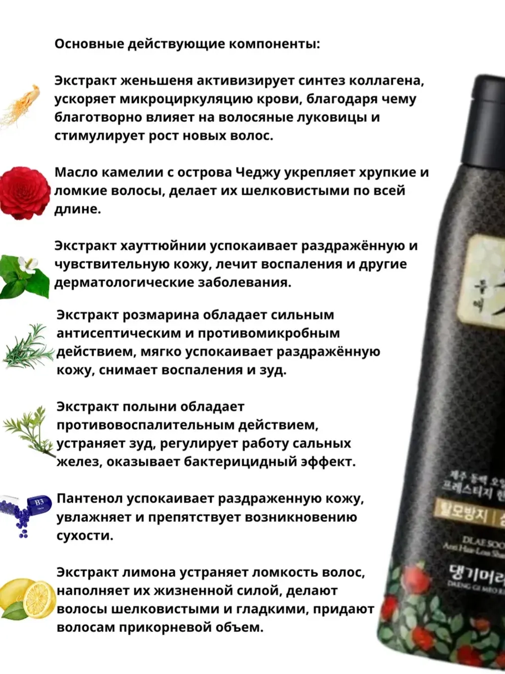 Daeng Gi Meo Ri Шампунь против выпадения волос Dlae Soo Hair Loss Care