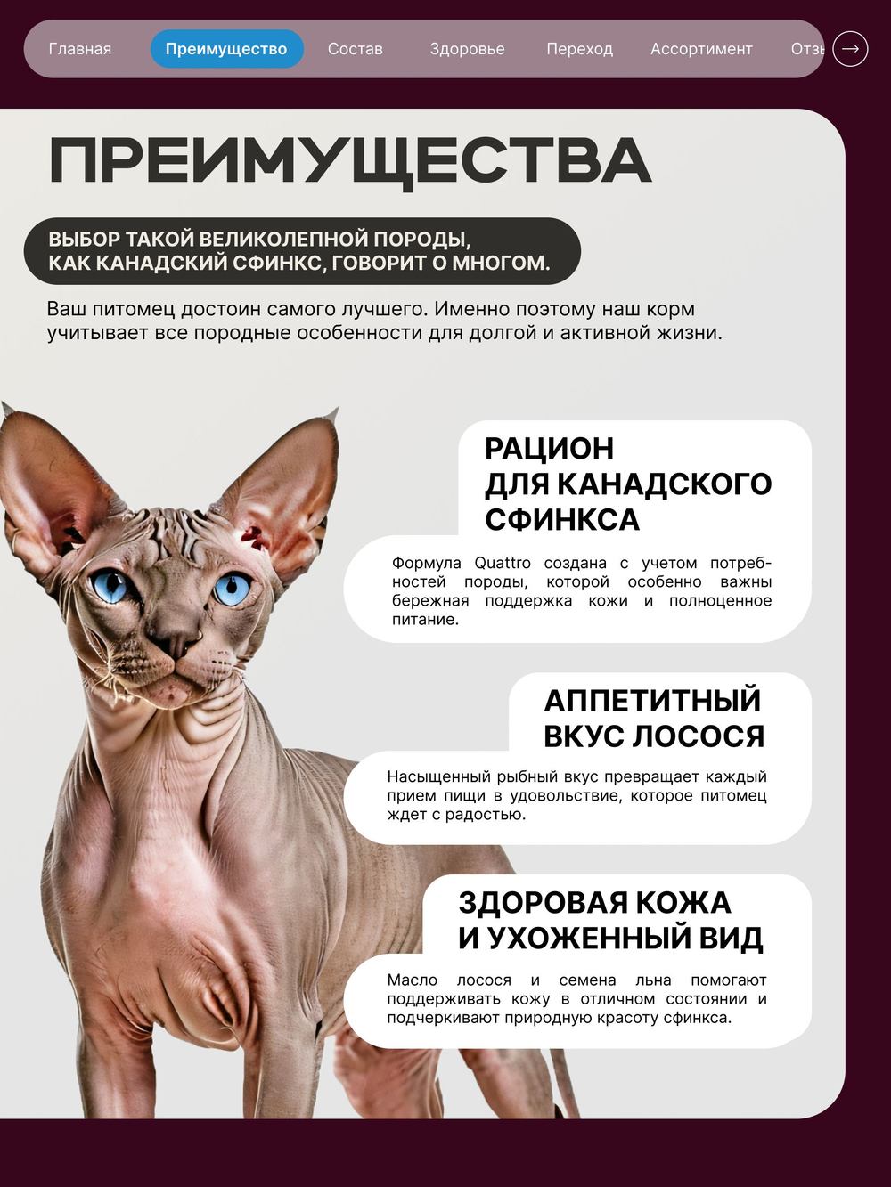 Корм сухой для взрослых кошек породы Канадский сфинкс, с лососем, 400 гр, QUATTRO