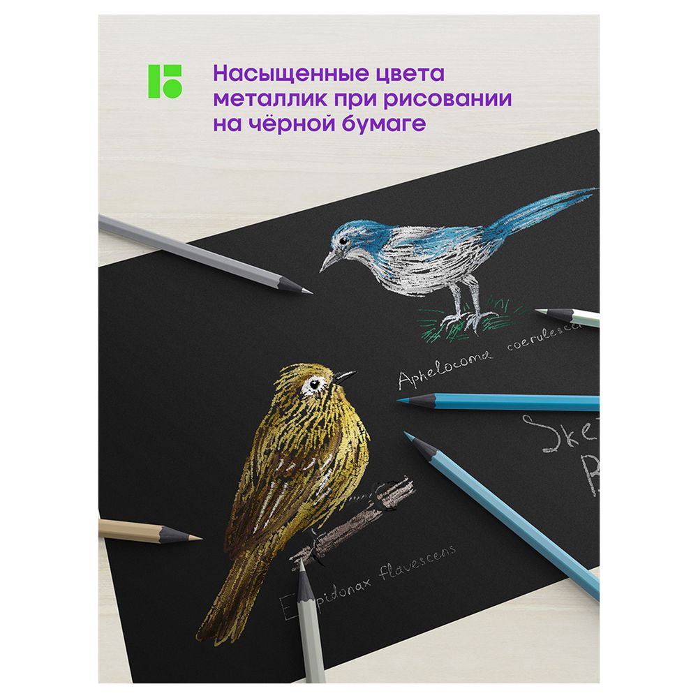 Карандаши цветные металлик Berlingo "SuperSoft. Metallic", 12цв., заточен., европодвес
