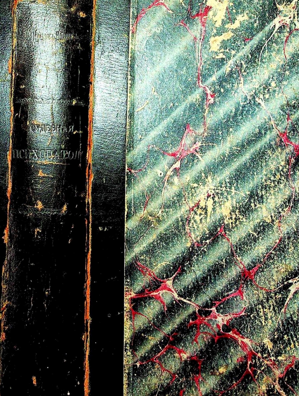 Р. фон Крафт-Эбинг Судебная психопатология. СПб, 1895