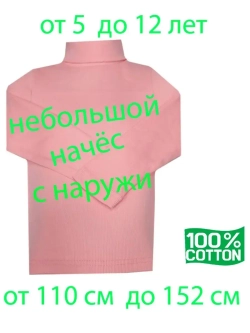 Водолазка с небольшим начесом