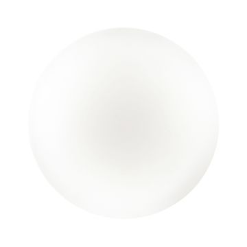 Настенно-потолочный светильник 48W 3000-6000K 3017/DLN белый Simple Sonex