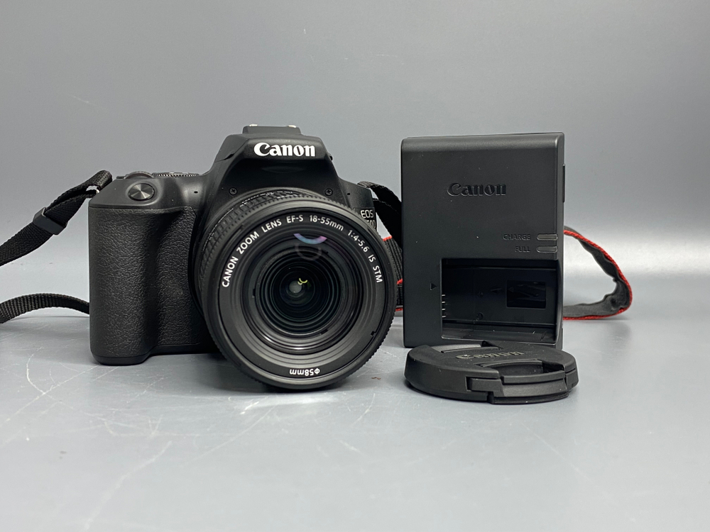 Canon 250D Kit 18-55mm 4-5.6 IS STM 1.000 кадров