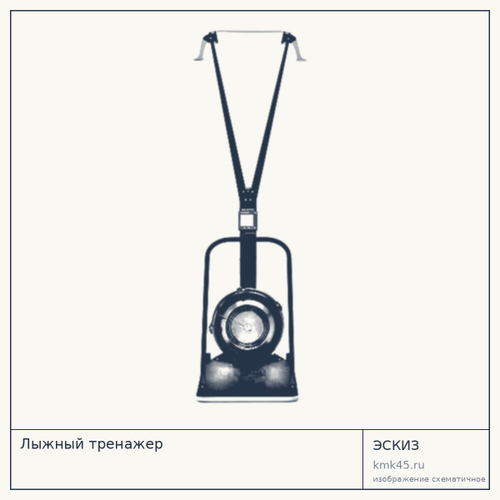 Лыжный тренажёр SkiErg — от 313 000 ₽