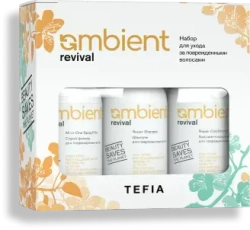 Набор для ухода за поврежденными волосами TEFIA Ambient Revival
