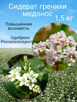 Семена гречихи сидерат 1,5 кг