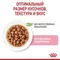 Влажный корм RC Kitten Instinctive для котят, в соусе, пауч, 85 г