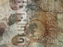GRAFICO 7