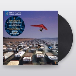 Pink Floyd — A Momentary Lapse of Reason - Remixed & Updated (LP)