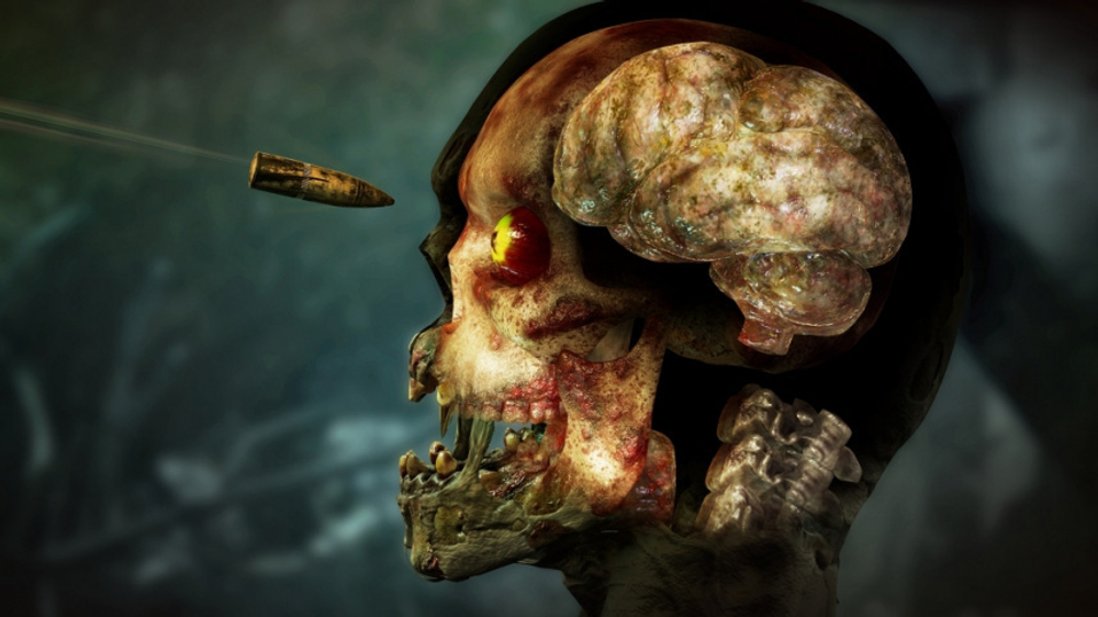 Zombie Army 4: Dead War (Xbox One/Series S/X, интерфейс и субтитры на русском языке) [Цифровой код доступа]