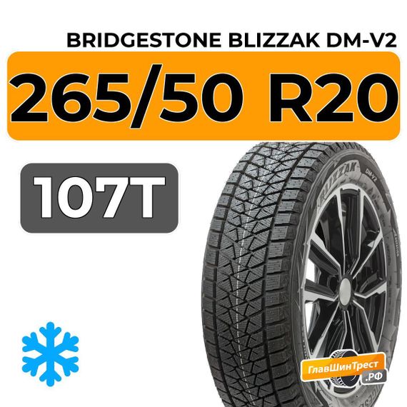 Bridgestone Blizzak DM-V2 265/50 R20 107T