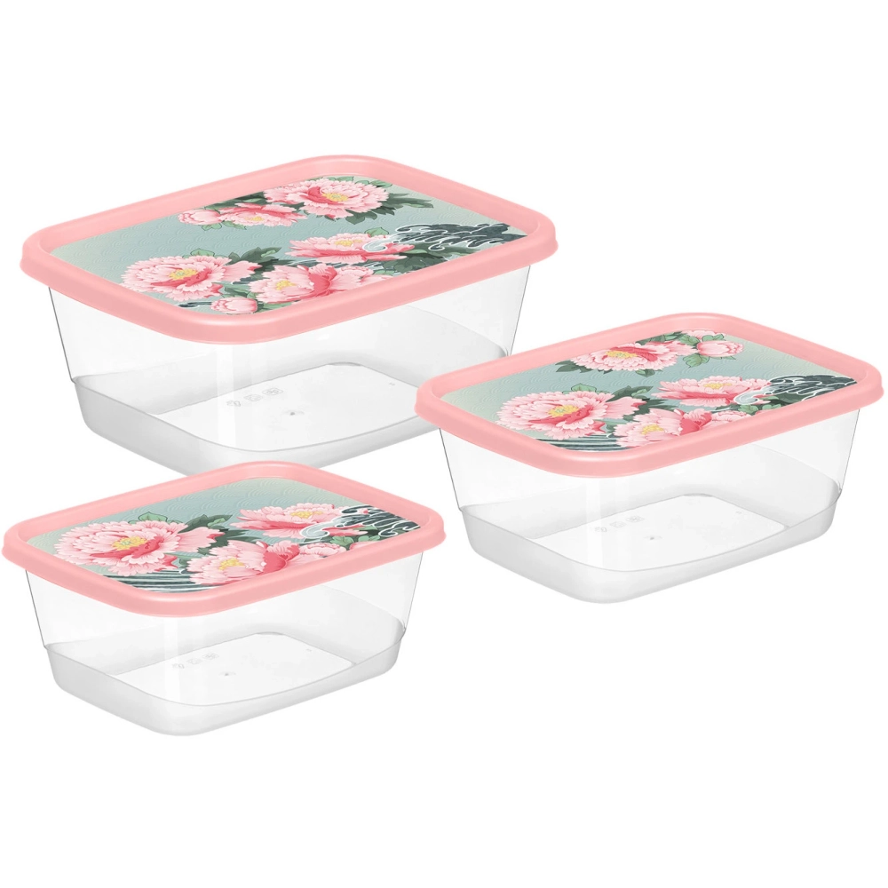 Комплект контейнеров для продуктов прямоугольных 3 шт. (0,5л+0,85л+1,5л) с декором «Сад пионов» 223151808/04