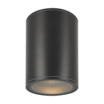 Уличный потолочный светильник Outdoor O306CL-L7GF