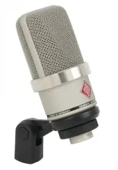 Neumann TLM 102