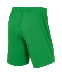 Шорты вратарские Jögel PerFormDRY Spartak 25 GK Shorts, зеленый
