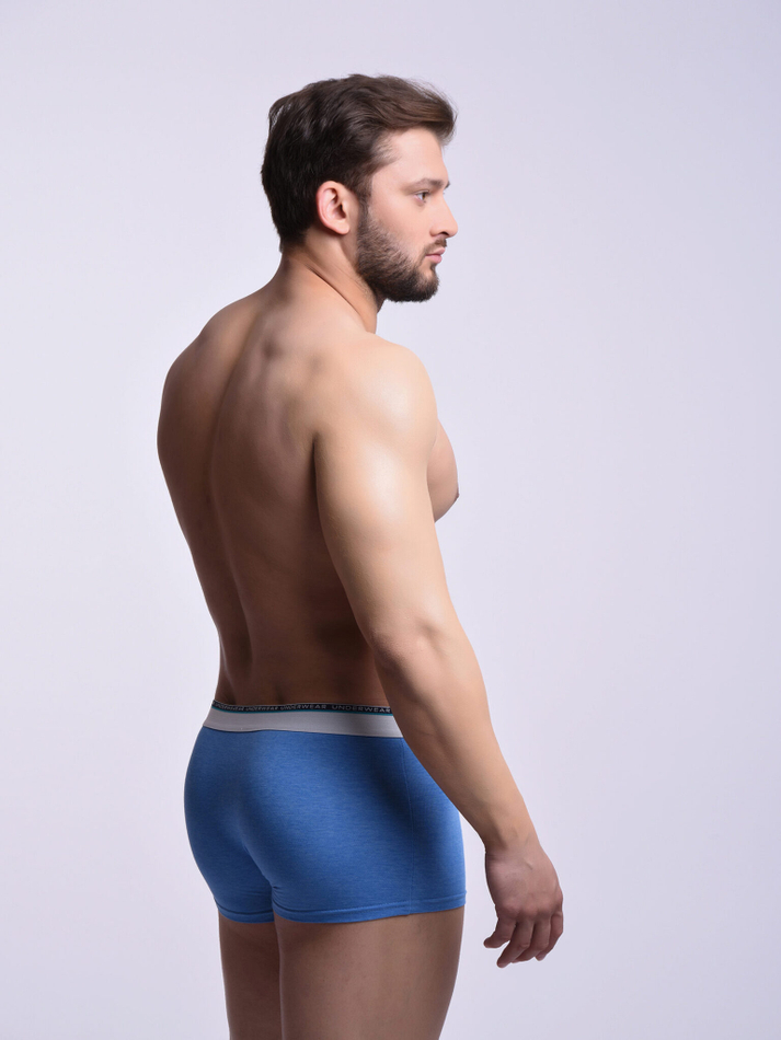 Трусы мужские боксеры с декоративной полосой (3 штуки в упаковке)