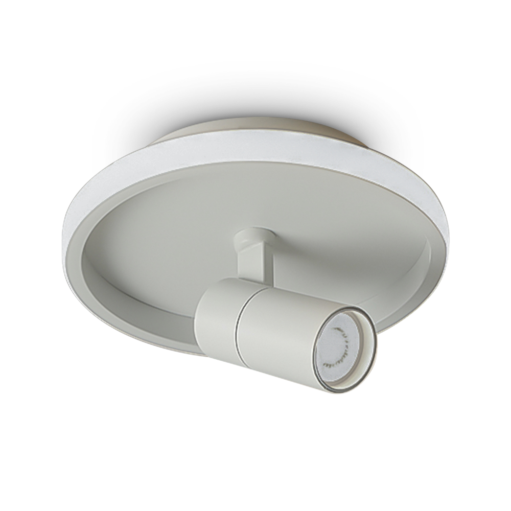 Потолочный светильник Freya FR6040CL-L14W
