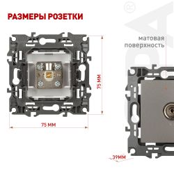 Розетка ЭРА Серия 12 12-3101-16 TV одиночная, титан | Эра 12