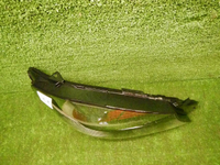 DSCN0158.JPG