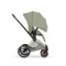Детская коляска Cybex Priam V Style 2 в 1 Sage Green