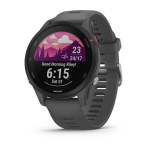 Смарт часы Garmin Forerunner 255 с темно-серым ремешком