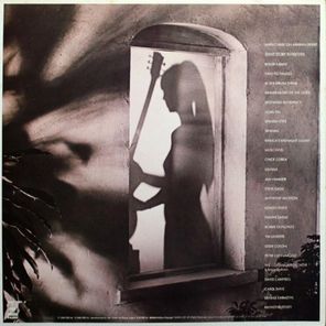 Al Di Meola / Splendido Hotel (2LP)