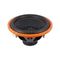 Сабвуфер DL Audio Piranha 15 V.2