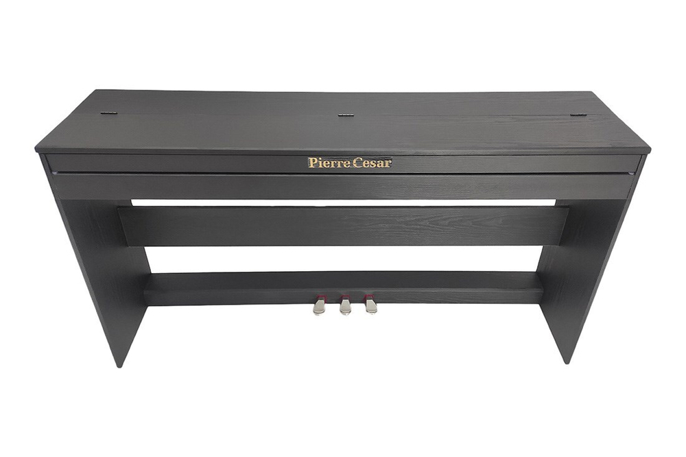 Pierre Cesar XY-2000-H