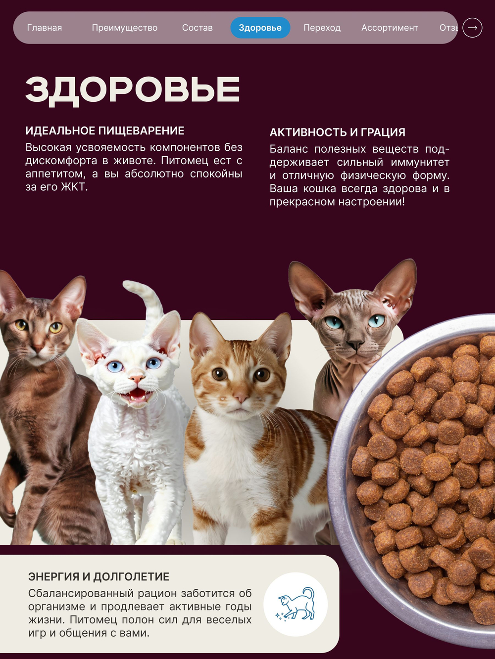 Корм сухой для взрослых кошек породы Канадский сфинкс, с лососем, 400 гр, QUATTRO
