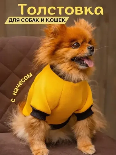 Толстовка с начесом для собак и кошек