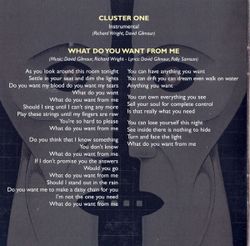 Pink Floyd. The Division Bell (CD)