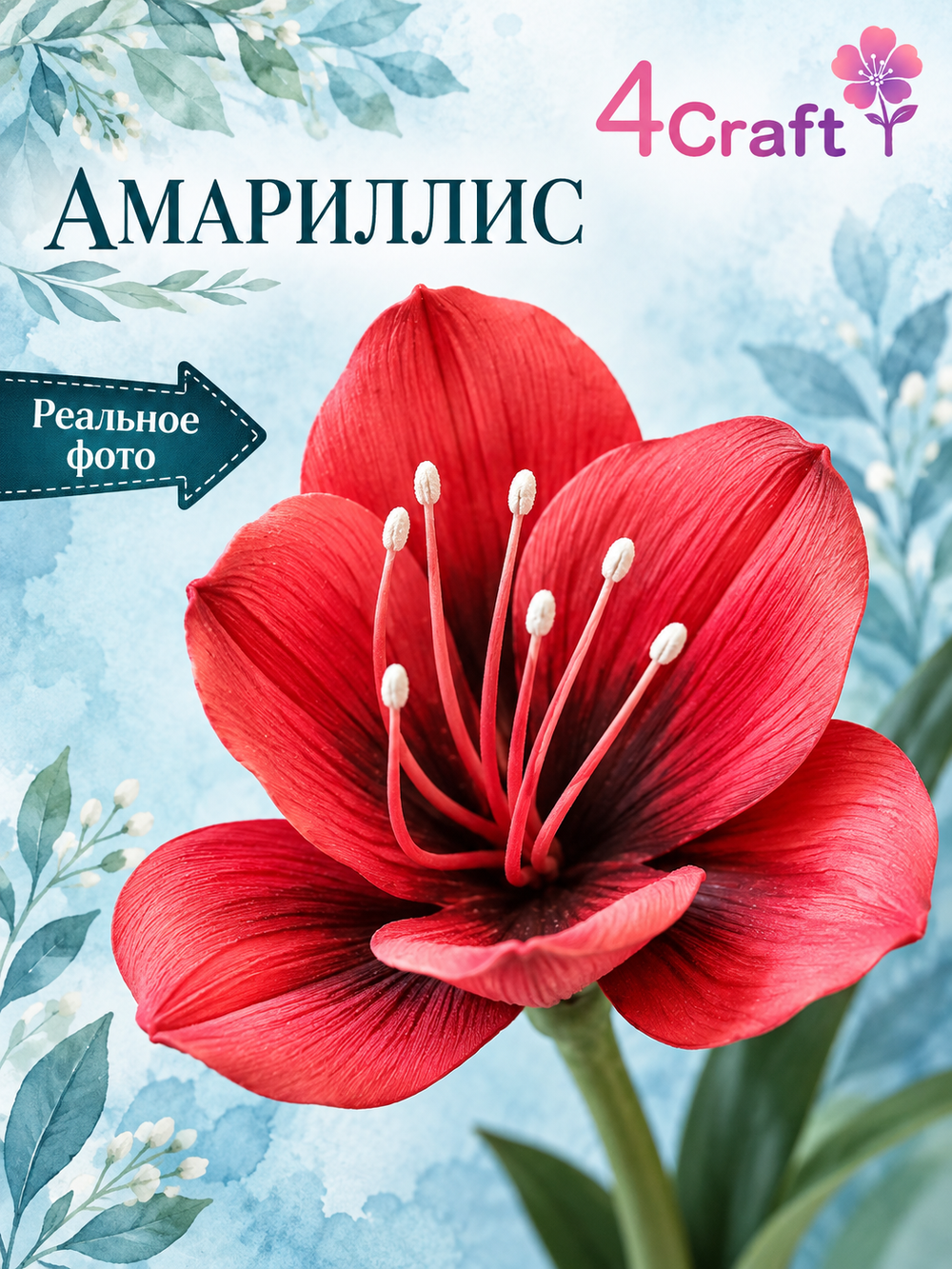 Вайнер лепесток Амариллиса