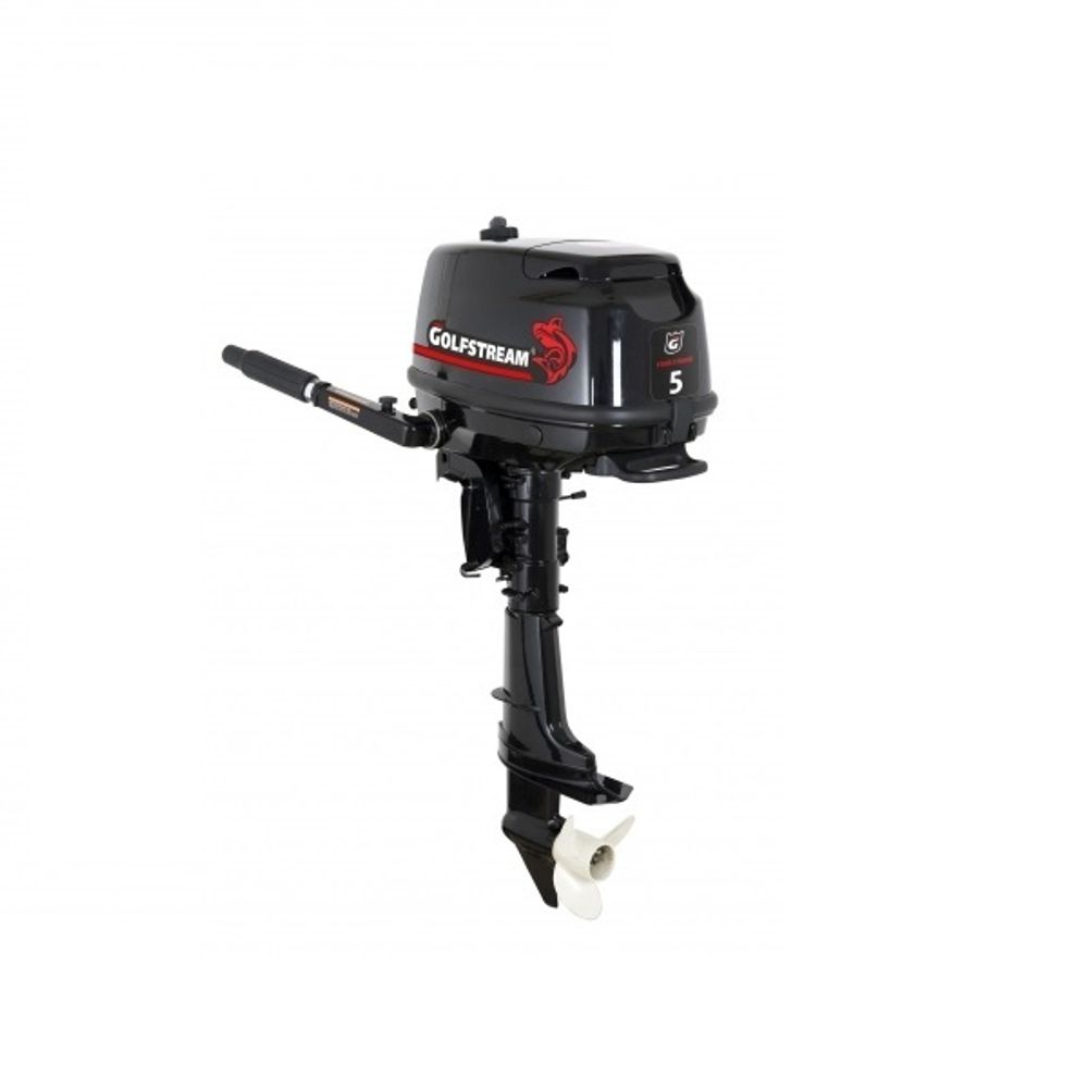 Лодочный мотор Golfstream F5 BMS