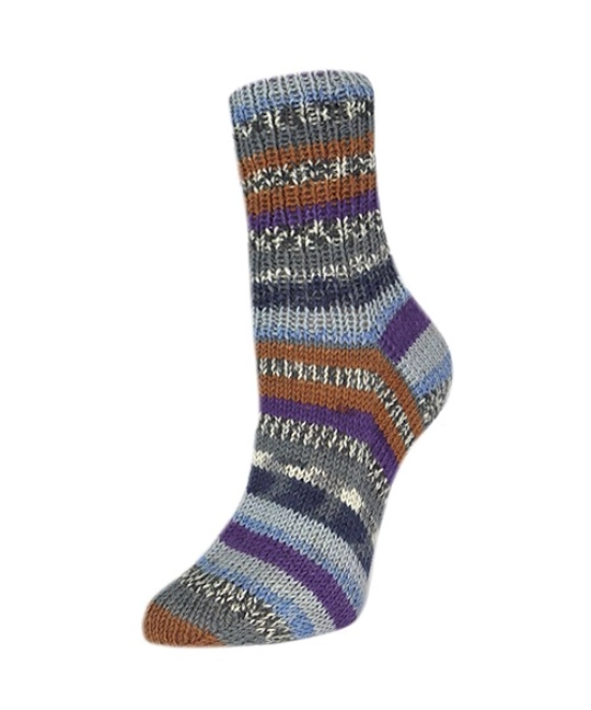 Пряжа Rellana Flotte Socke 4f. Roma (3224)